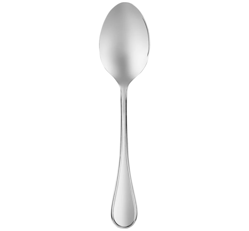 Albi Stainless Steel Serving Spoon