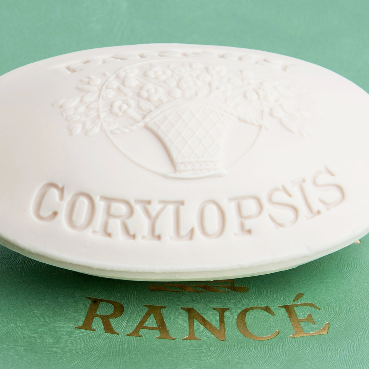 Corylopsis Soaps, Box of 6