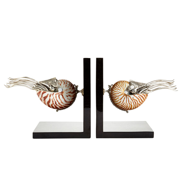 Nautilus Shells Bookends