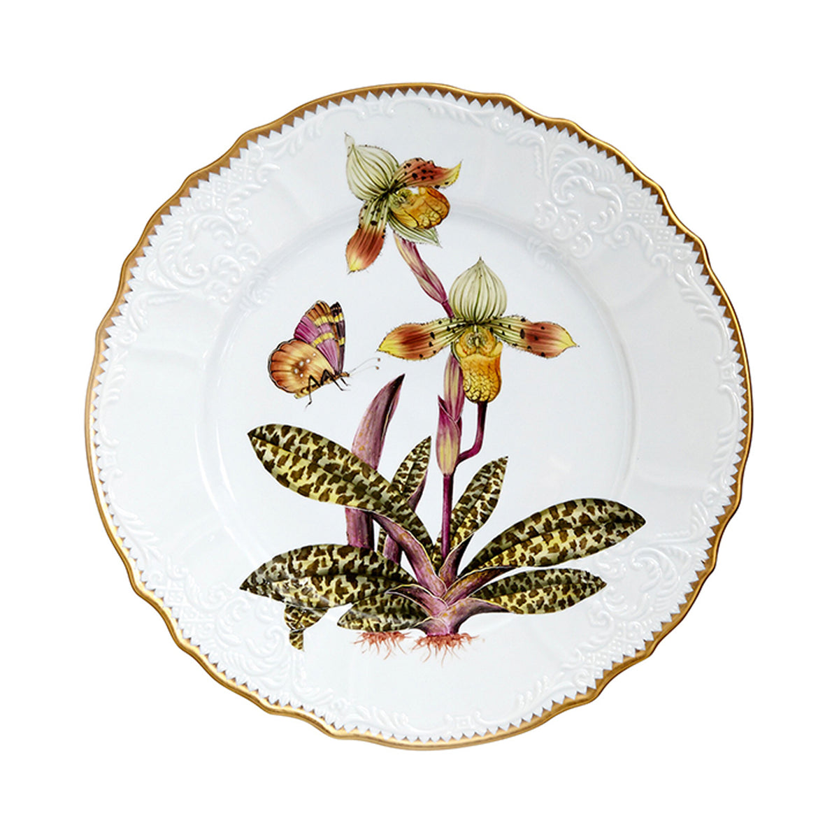 Orchids Dinner Plate No. 5(D)