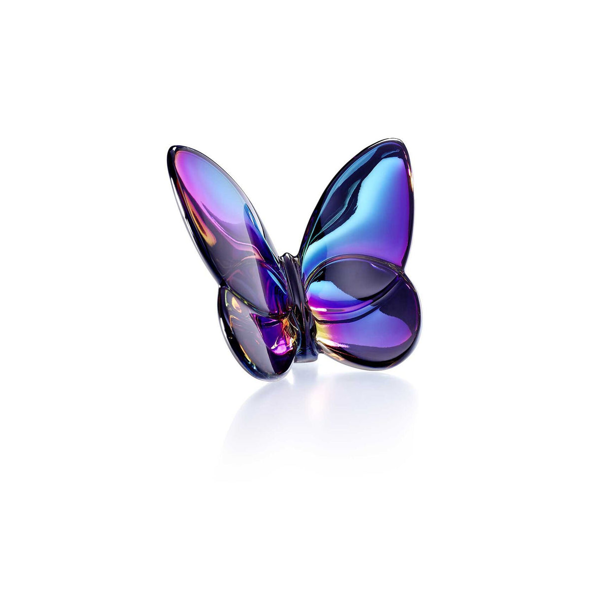 Papillon Lucky Butterfly