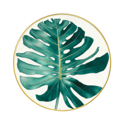 Passifolia Dinner Plate - Philodendron