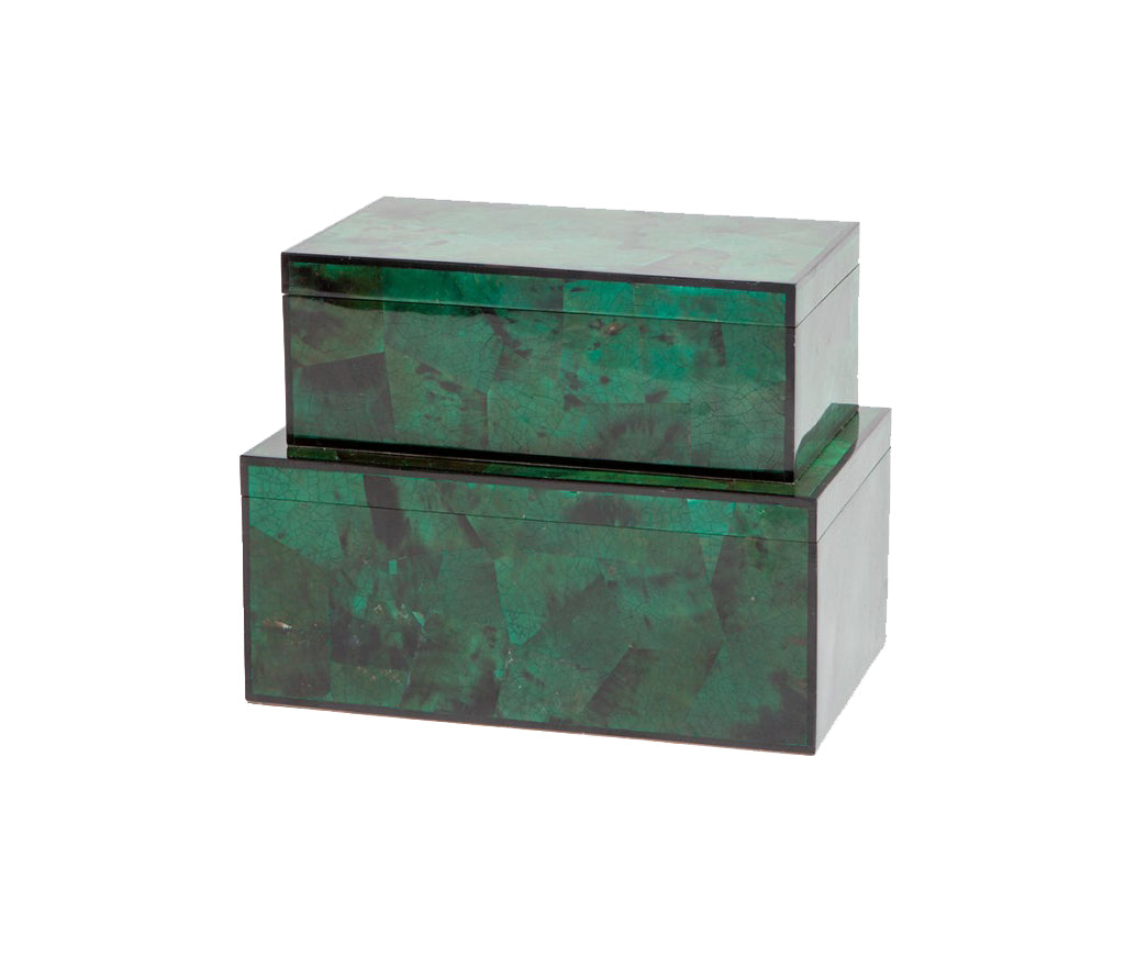 Brielle Emerald Shell Box