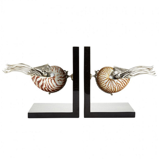 Arden Classic Nautilus Shells Bookends - Jung Lee NY