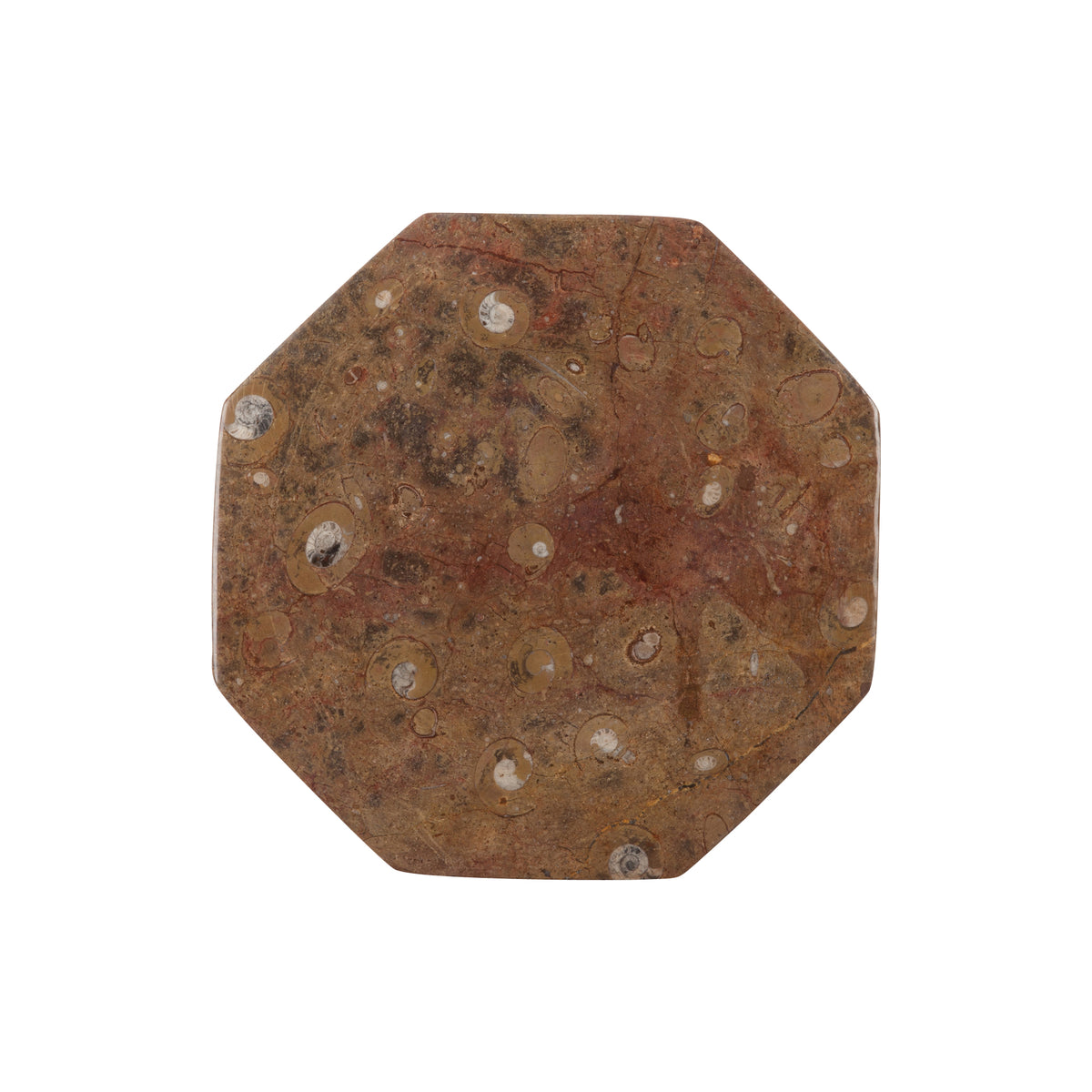 Octagonal Brown Fossil Plate