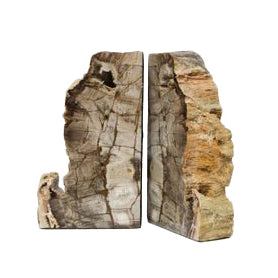 Large Petrified Wood Bookends