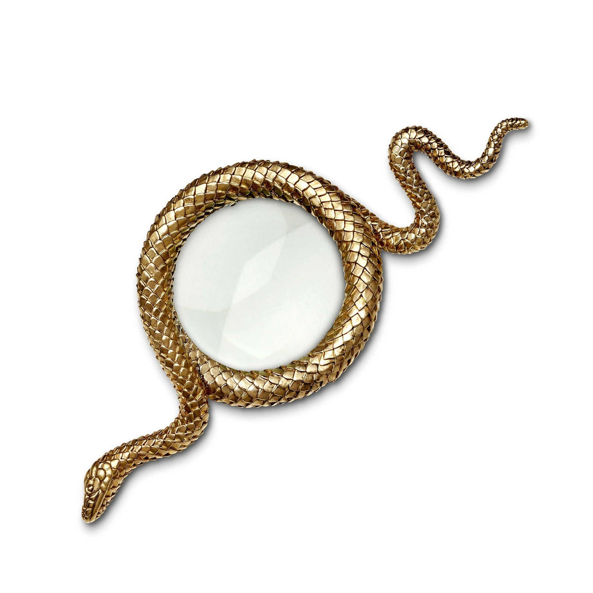 Large Gold Snake Magnifying Glass