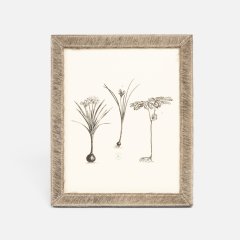 Verwood gray 8"x10" Frame