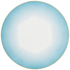 Aura Charger Plate