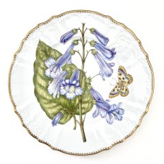 Botanical Art Dinner Plate
