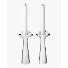 Bloom Botanica Candleholders