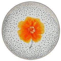 Top Set of 4 Assorted Salad Plates