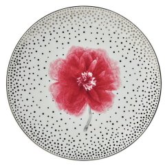 Top Set of 4 Assorted Salad Plates