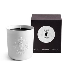 Bois Sauvage Candle