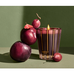 Autumn Plum Classic Candle