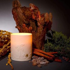 Haas Mojave Palm Candle