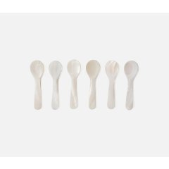 Cora Shell Mini Spoons, Set of 6