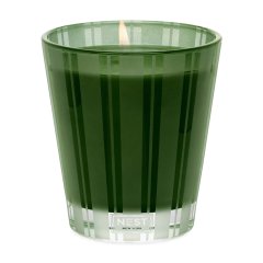 Midnight Moss and Vetiver Classic Candle