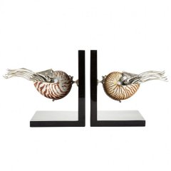 Nautilus Shells Bookends