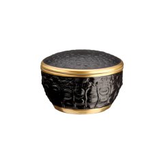 Crocodile Round Box