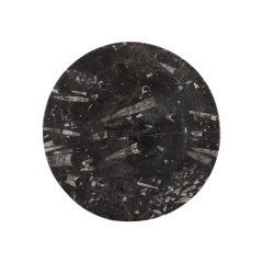 Round Black Fossil Plate