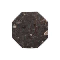 Octagonal Black Fossil Plate