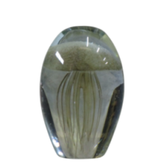 Glass Jellyfish, Small